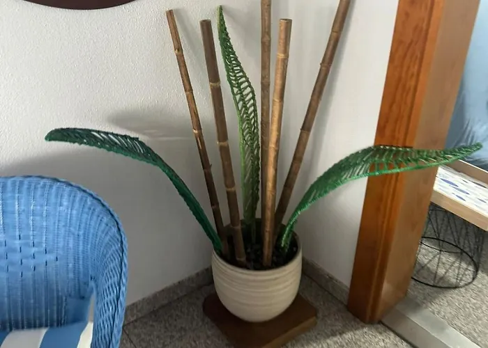 Arcos Sol Lejlighed *